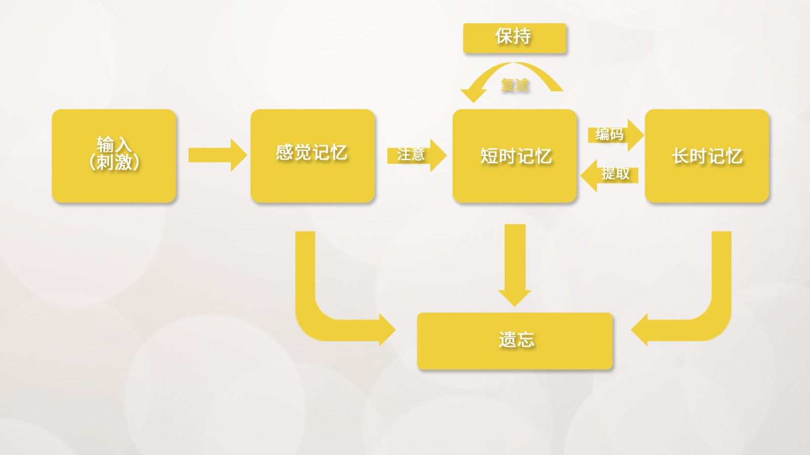 腦電在學(xué)習(xí)與記憶領(lǐng)域中的應(yīng)用