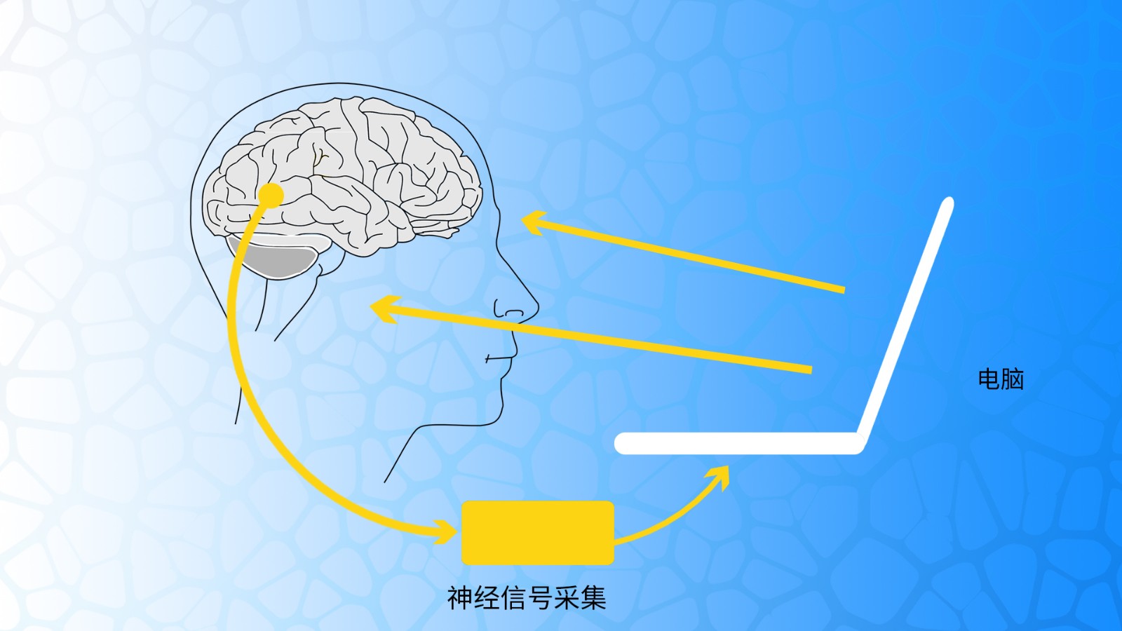 近紅外在神經生物反饋領域的應用